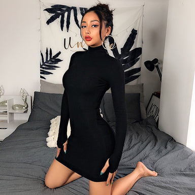 Hot Turtleneck Long Sleeve Skinny Dress