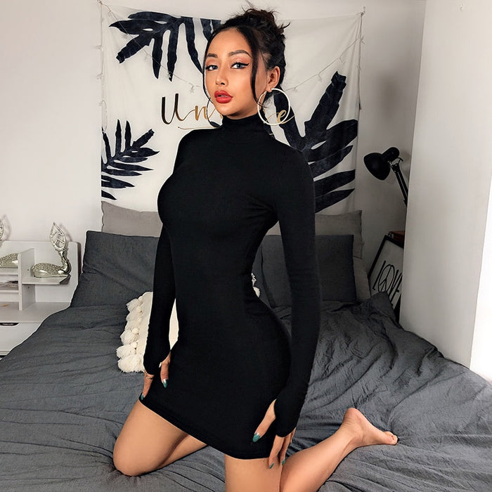 Hot Turtleneck Long Sleeve Skinny Dress