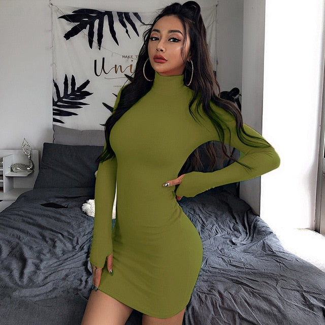 Hot Turtleneck Long Sleeve Skinny Dress