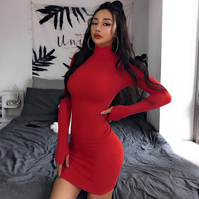 Hot Turtleneck Long Sleeve Skinny Dress