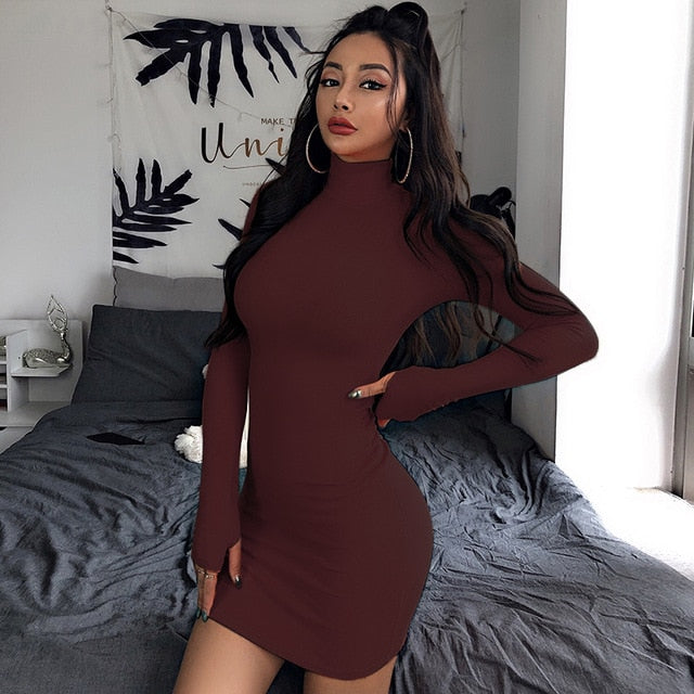 Hot Turtleneck Long Sleeve Skinny Dress