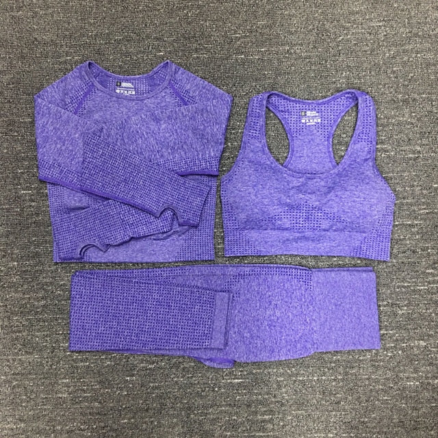 Seamless Fitness Yoga Suit 3pcs Gym Clothing