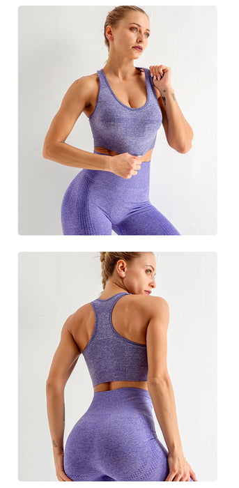 Seamless Fitness Yoga Suit 3pcs Gym Clothing
