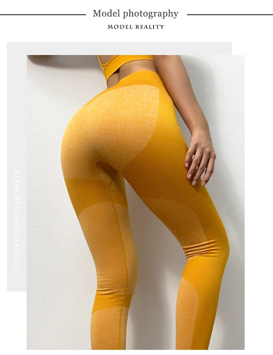 Seamless Yoga Set Sports Bra and Leggings