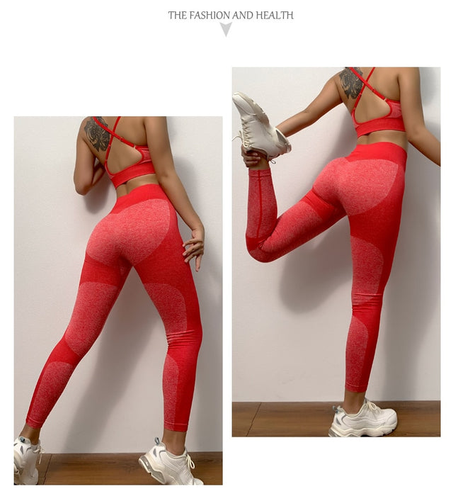 Seamless Yoga Set Sports Bra and Leggings