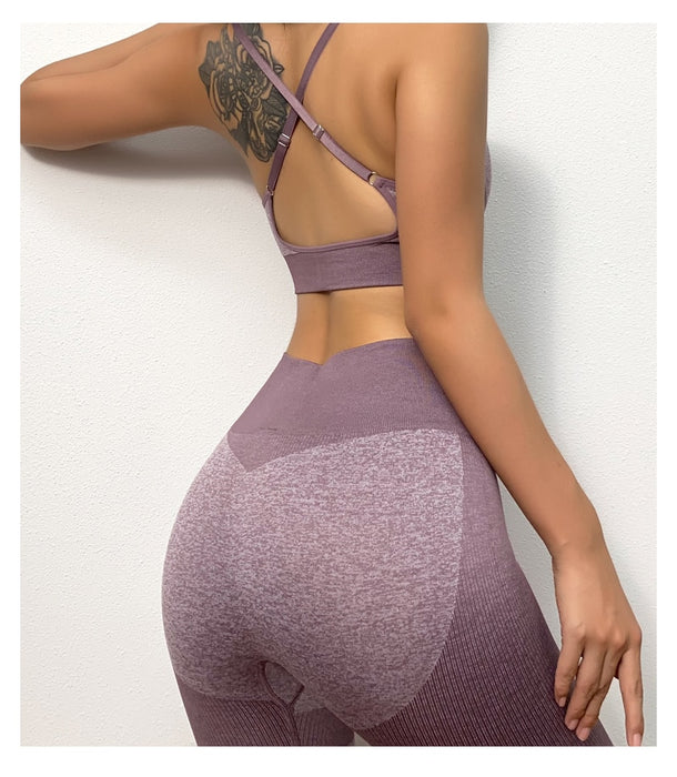 Seamless Yoga Set Sports Bra and Leggings