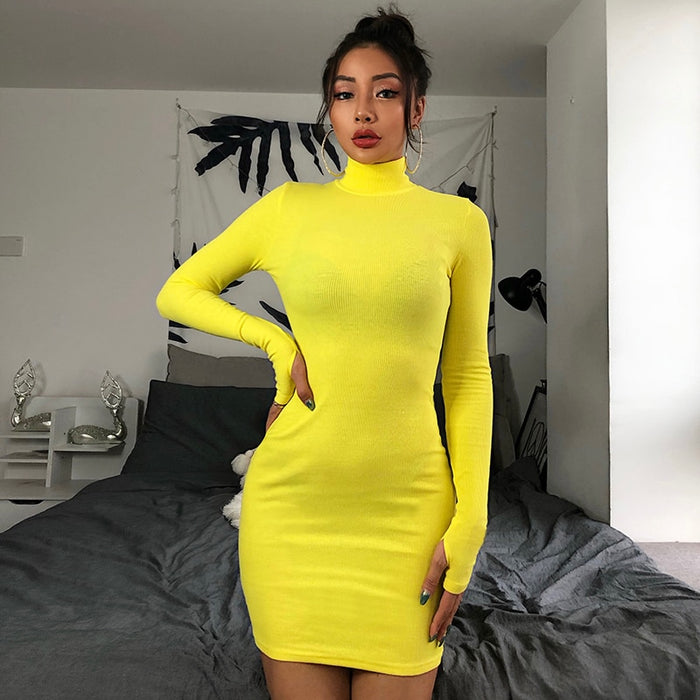 Hot Turtleneck Long Sleeve Skinny Dress