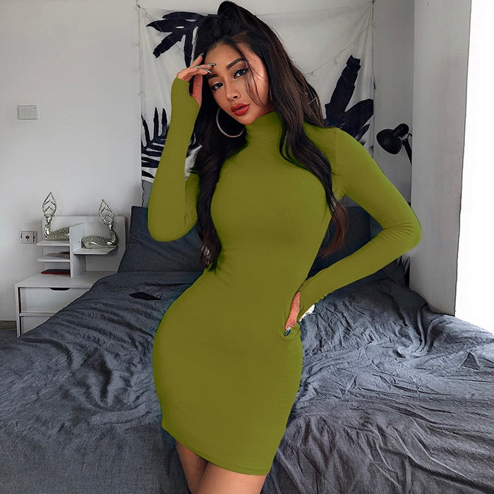 Hot Turtleneck Long Sleeve Skinny Dress