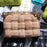 Luxury Handbag