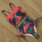 High Waist Bikini Set