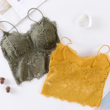 Push Up Wireless Lace Bra Top Sexy Bralette