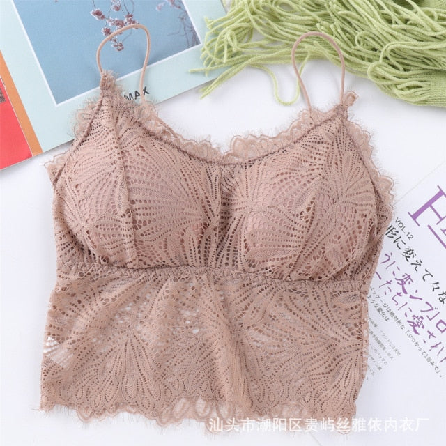 Push Up Wireless Lace Bra Top Sexy Bralette
