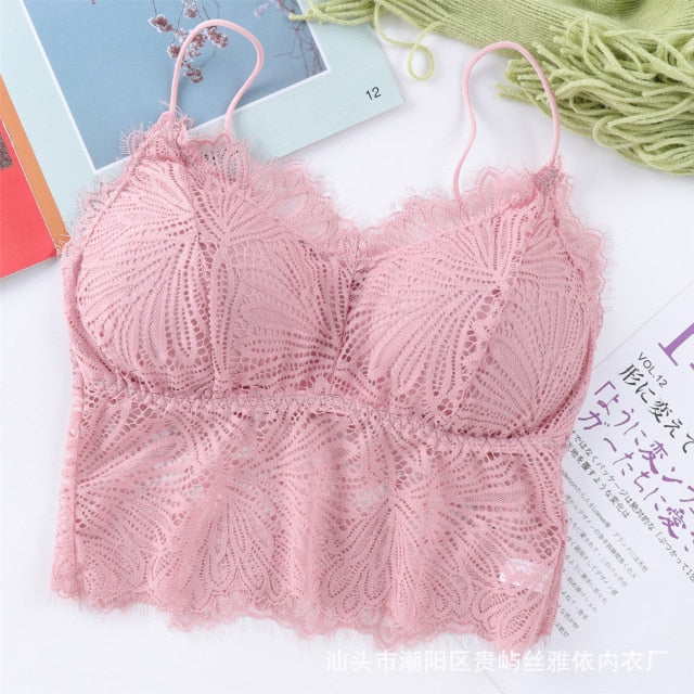 Push Up Wireless Lace Bra Top Sexy Bralette