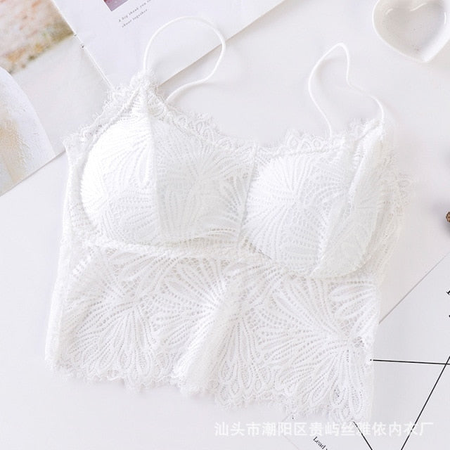 Push Up Wireless Lace Bra Top Sexy Bralette