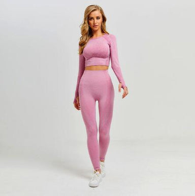 Seamless Yoga Sets Fitness Sports Suits