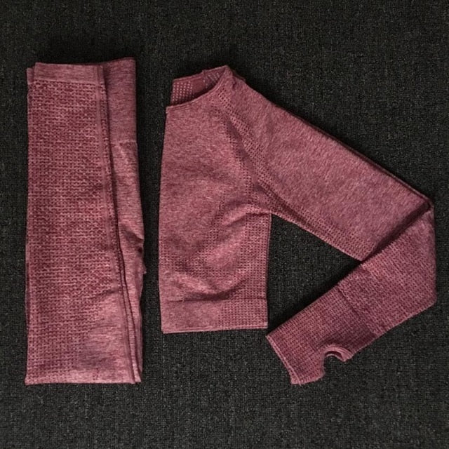 Seamless Yoga Sets Fitness Sports Suits