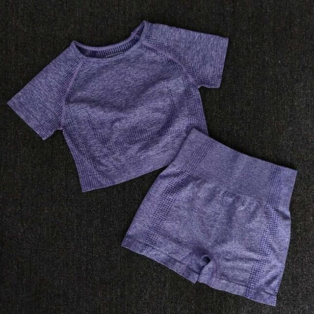 Seamless Yoga Sets Fitness Sports Suits