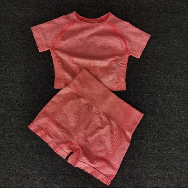 Seamless Yoga Sets Fitness Sports Suits