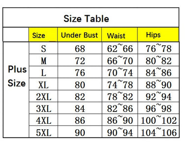 Plus Size Swimsuit Two Piece Swimwear
