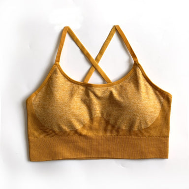 Seamless Yoga Set Sports Bra and Leggings