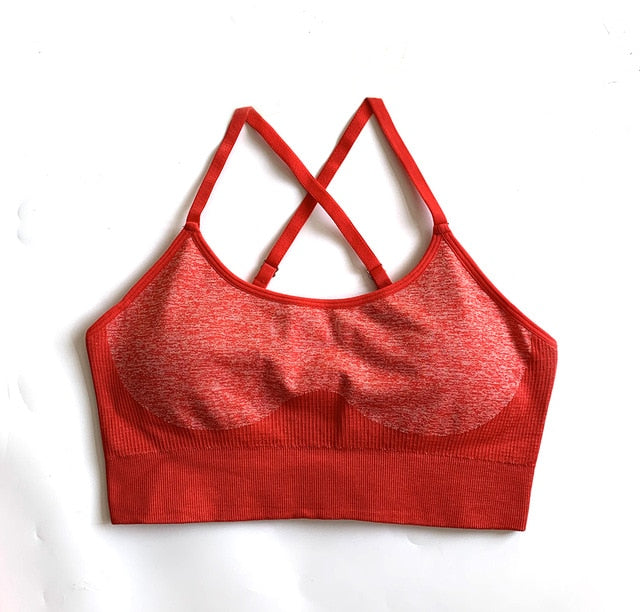 Seamless Yoga Set Sports Bra and Leggings