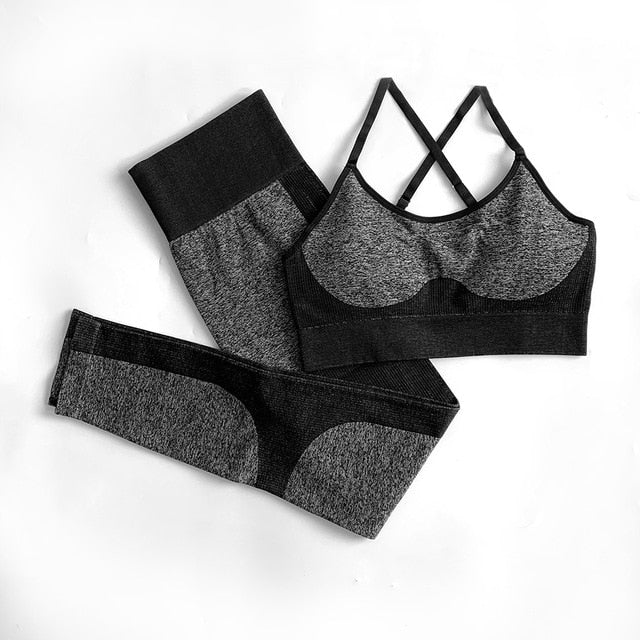 Seamless Yoga Set Sports Bra and Leggings