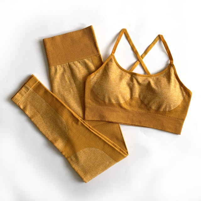 Seamless Yoga Set Sports Bra and Leggings