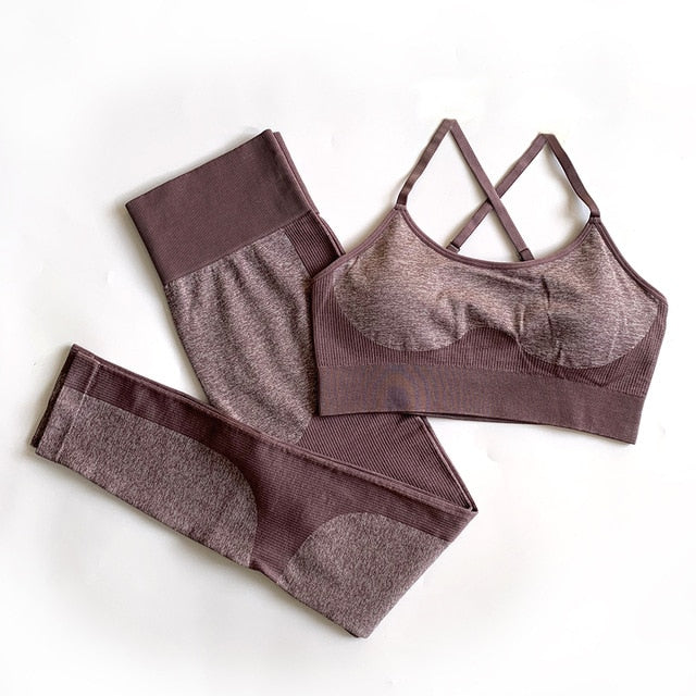 Seamless Yoga Set Sports Bra and Leggings